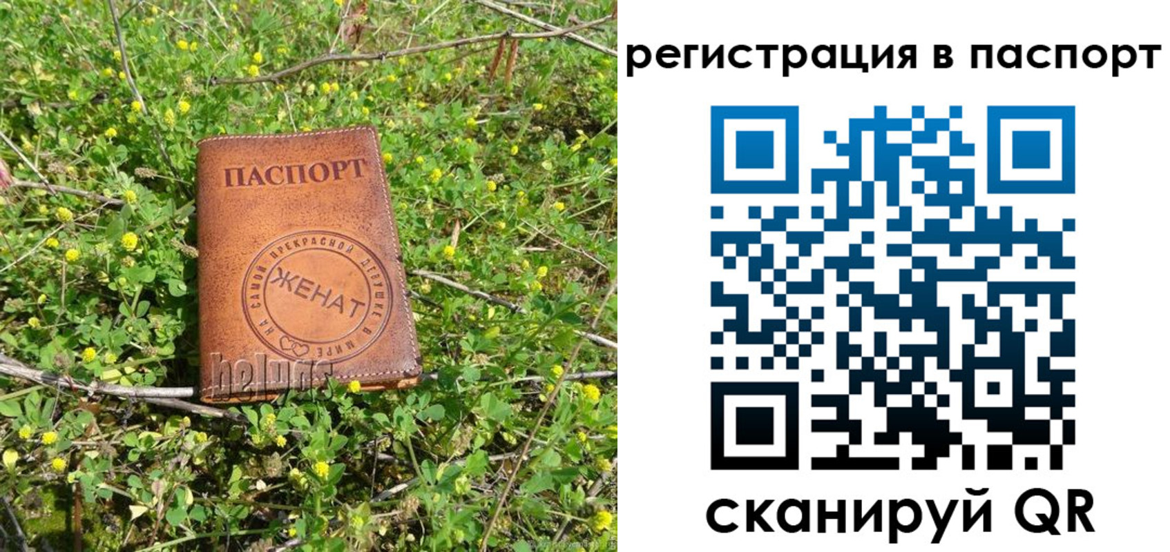 прописка законно в Волгореченске